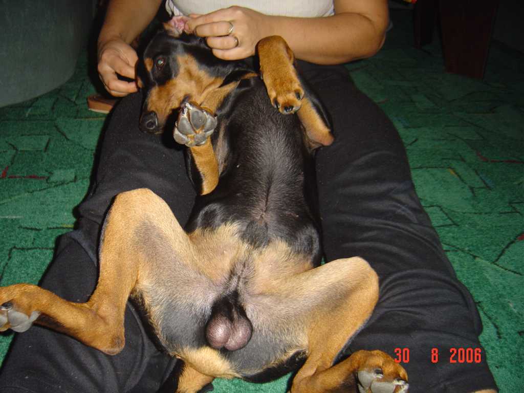 masáž uší zbožňujiii.jpg